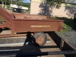 Plant Motor vehicle Wood Automotive tire Bumper