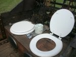 Property Toilet seat Toilet Plant Bathroom
