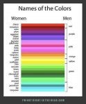 Colorfulness Rectangle Font Slope Magenta