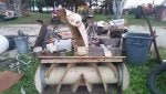 Plant Motor vehicle Wood Tree Gas