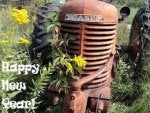 Plant Motor vehicle Vehicle Automotive tire Tire