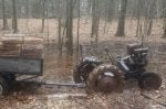 20180305_125156-1.jpg