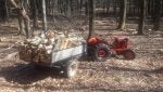 20180306_130954.jpg