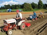Scone Ploughing4.jpg