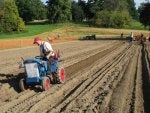 Scone Ploughing3.jpg